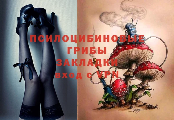 героин Абаза