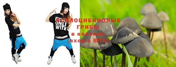 героин Абаза